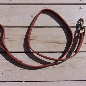 Ray Allen Latigo Leather Classic Lead